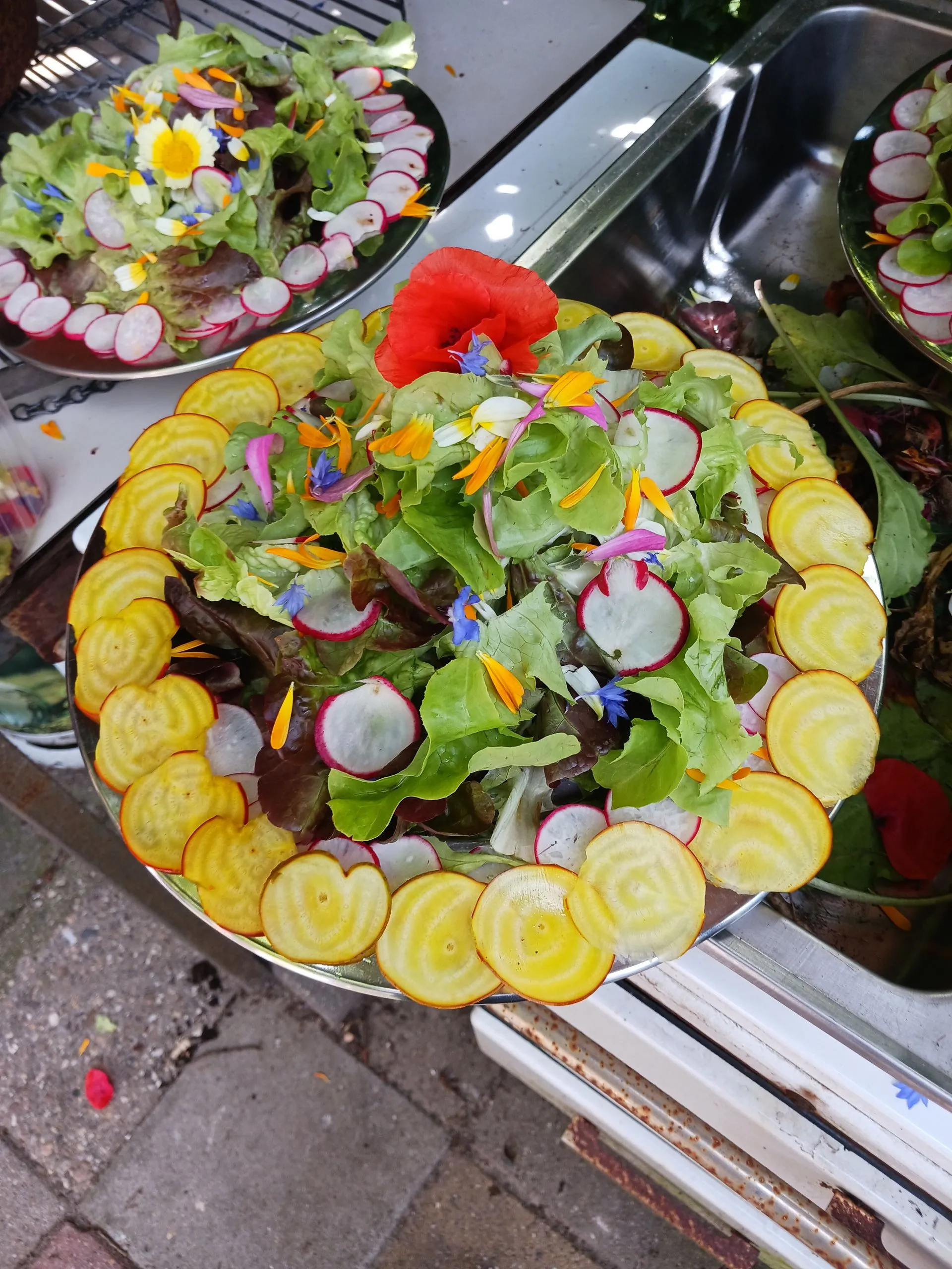 20230711_121757-1920w (1)