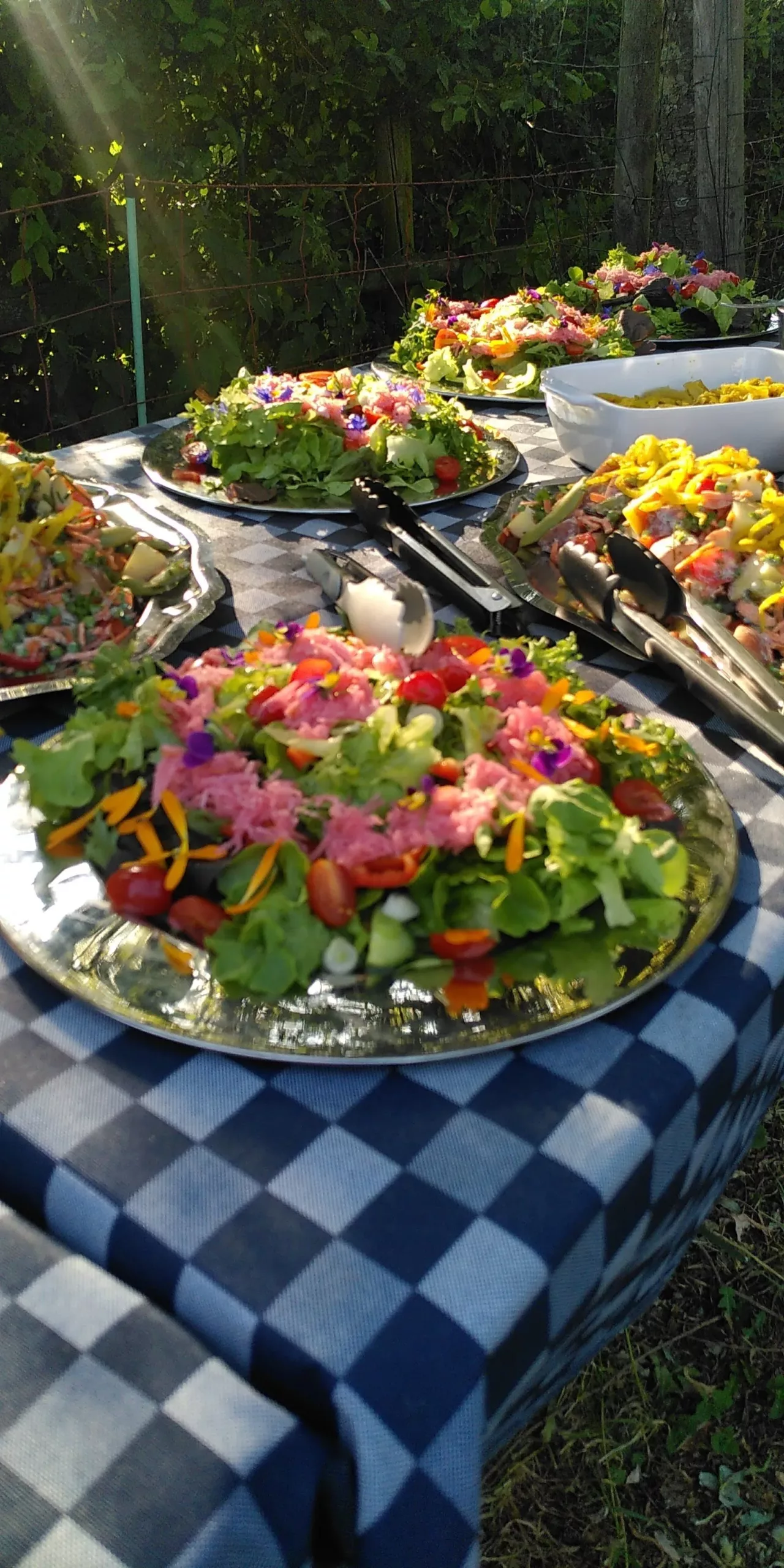 IMG_20230615_185243-1920w