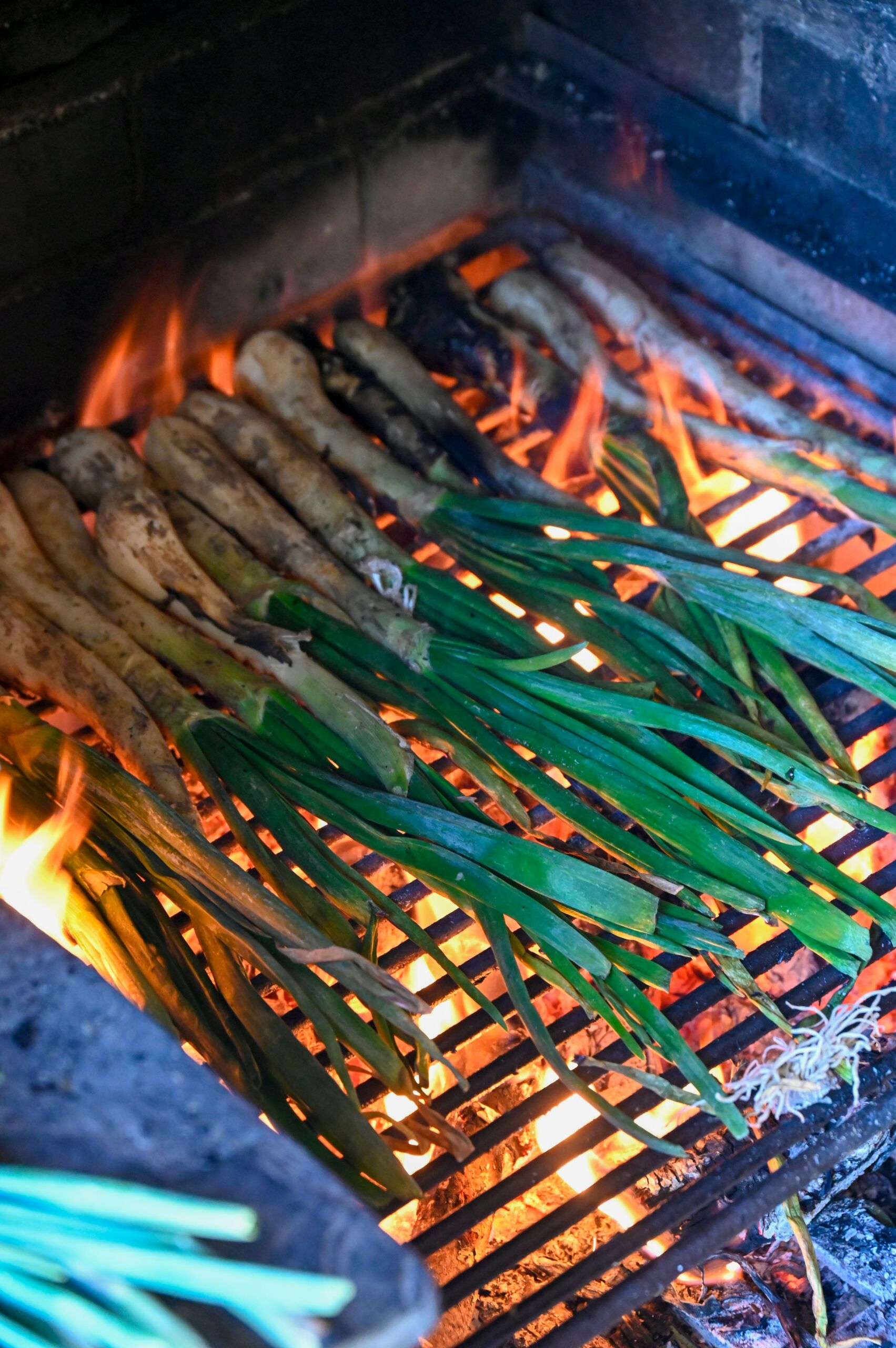 ferran-ventura-4zRPnK-pSD0-unsplash